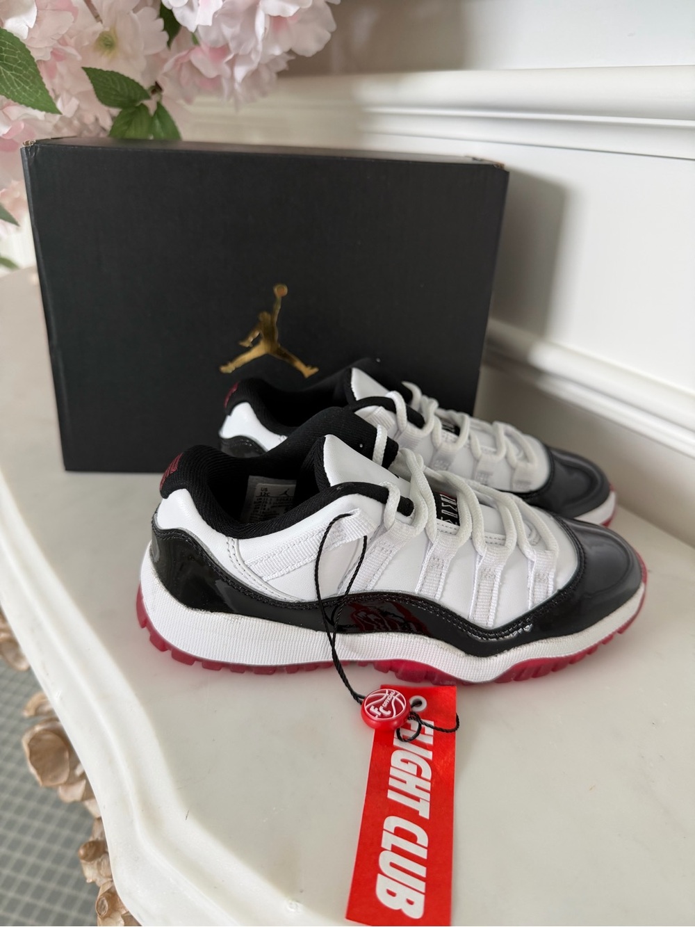 Jordan 11 retro low ps NWT SZ 12c